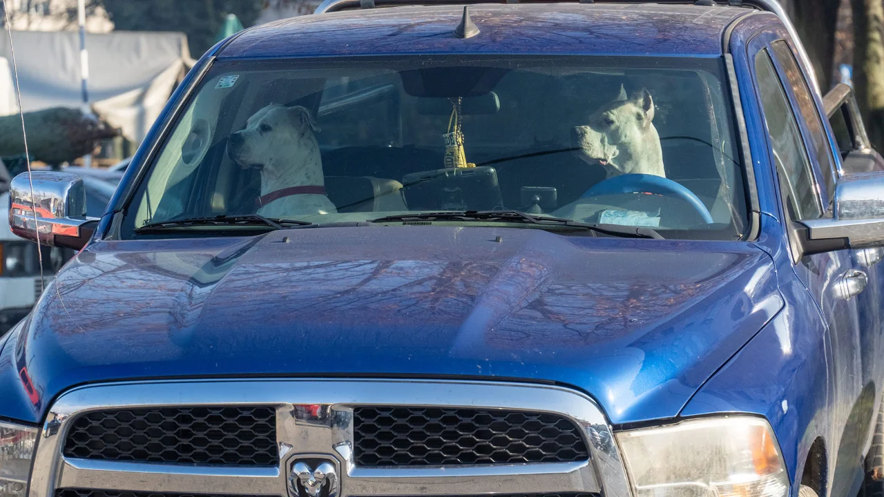The Ghetto